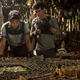 Illustration for article titled Let Me Try to Convince You to Watch iThe Maze Runner/i Movies